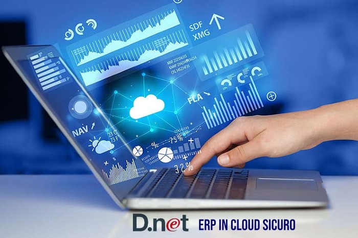 D.net Erp In Cloud Sicuro