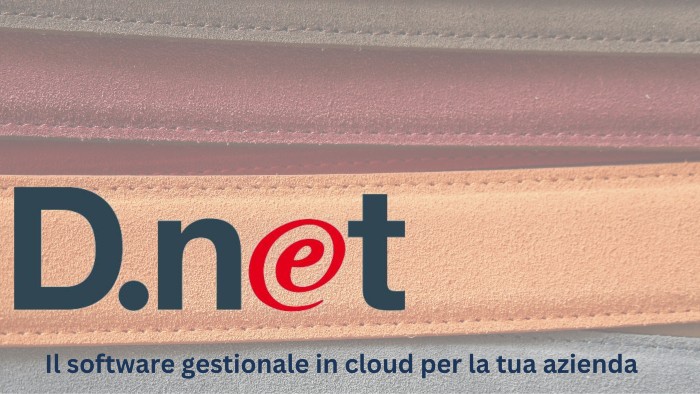 Il Software Gestionale In Cloud